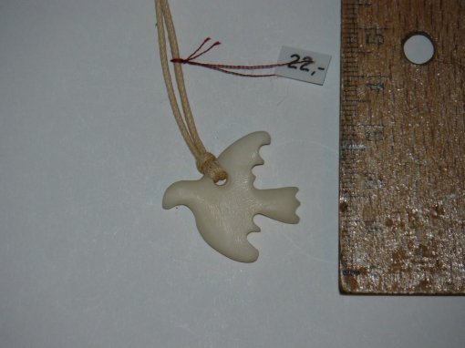 bone_Nr_38